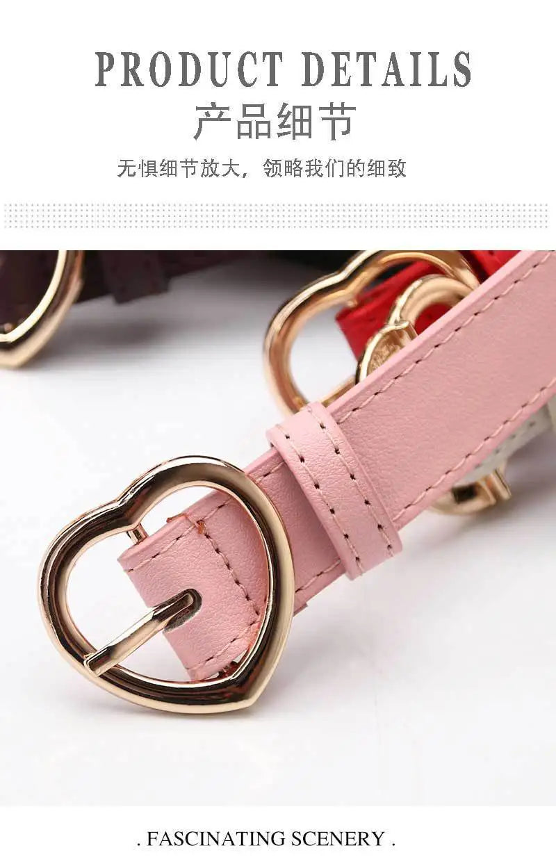 Cinture da donna con fibbia ad ardiglione