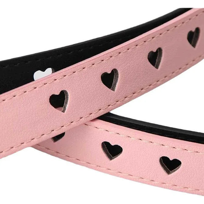 Cinture da donna con fibbia ad ardiglione